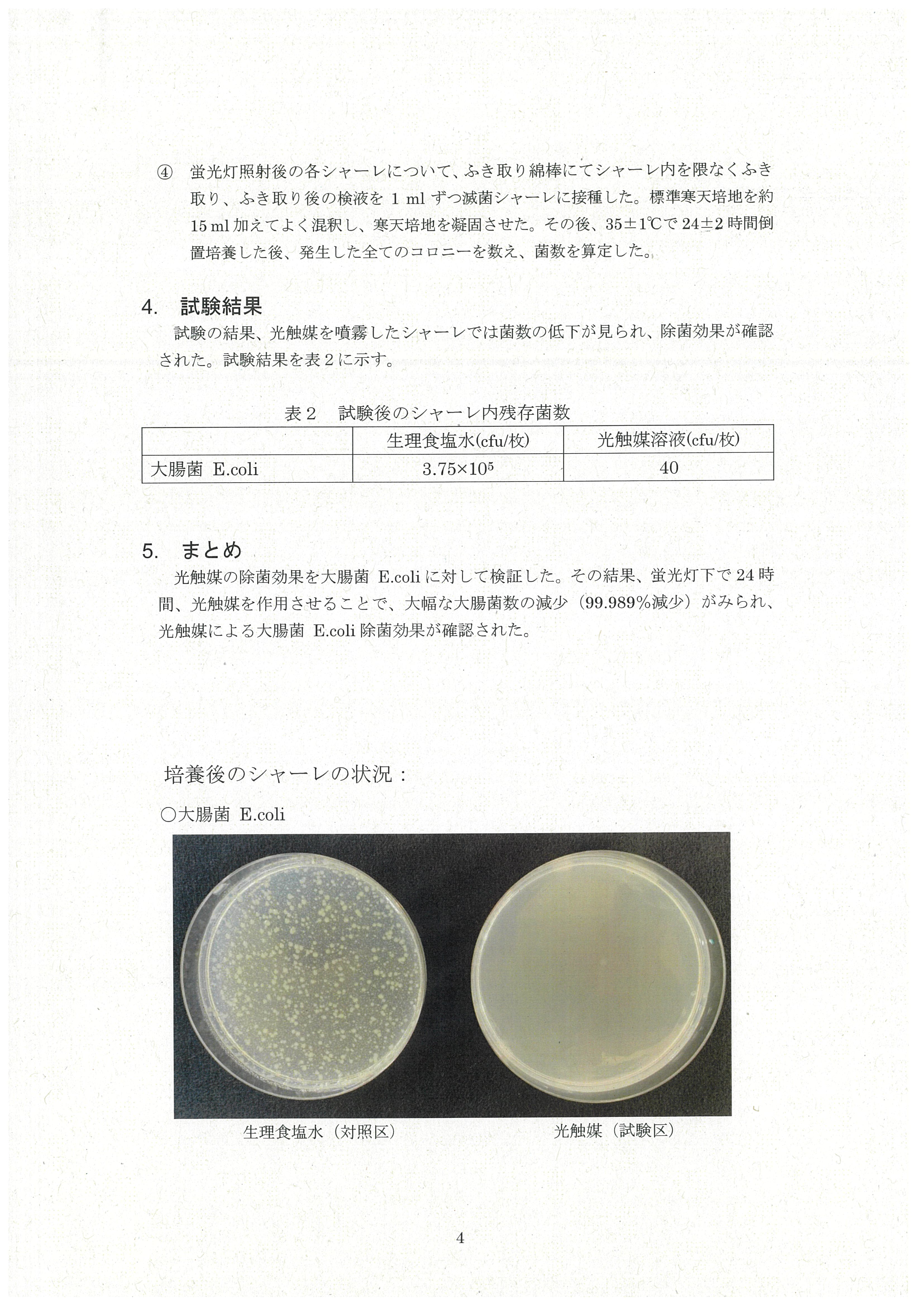 大腸菌シャーレ比較 — 対照群 vs Nano Ark処理